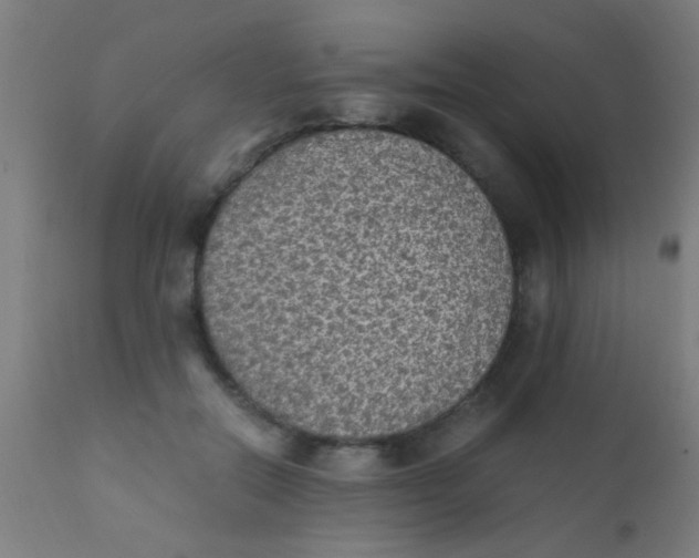X0000110710554200907022026