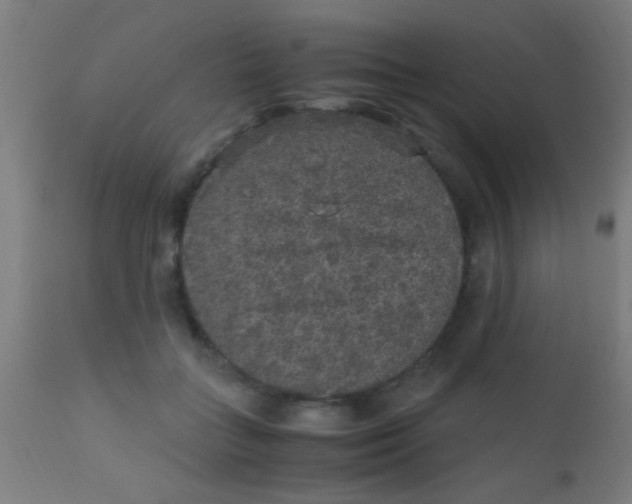 X0000110710555200907022026