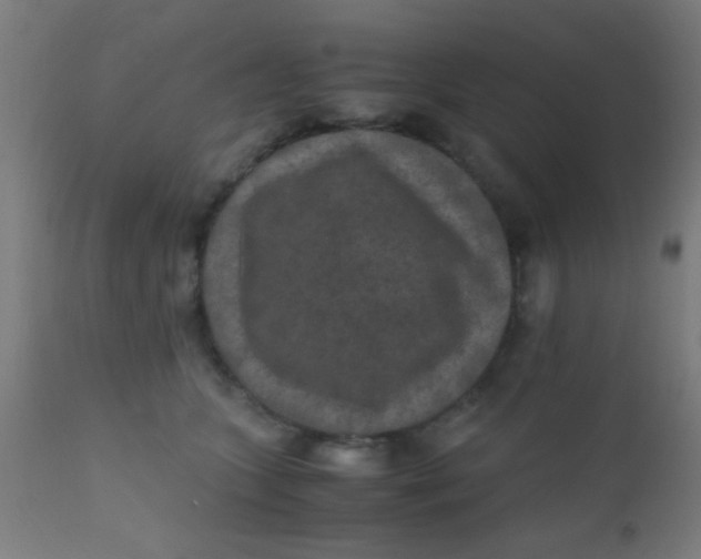 X0000110710563200907022026