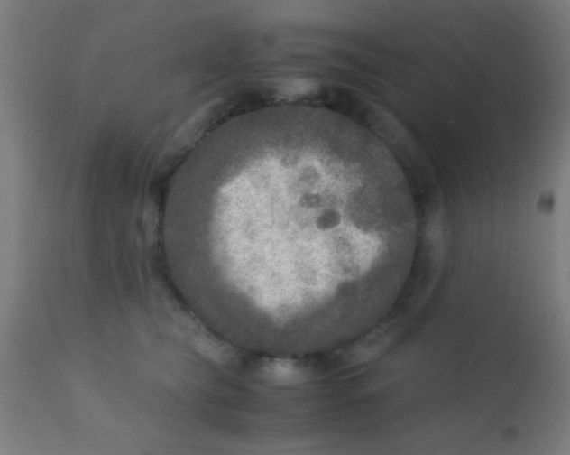 X0000110710565200907022026