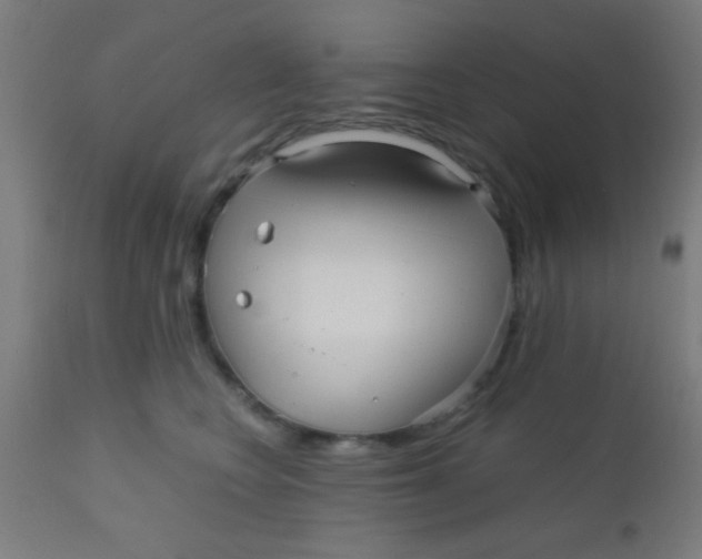 X0000110710566200907022026
