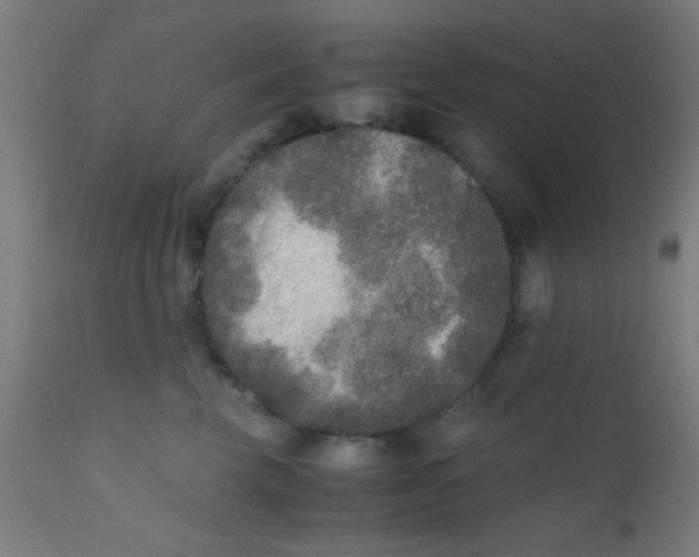 X0000110710569200907022026