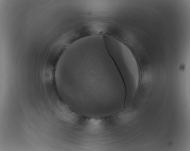 X0000110710570200907022026