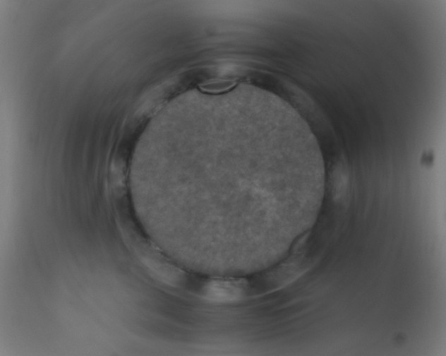 X0000110710571200907022026