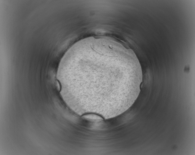 X0000110710575200907022026