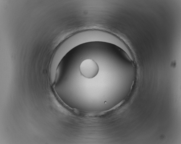 X0000110710577200907022025