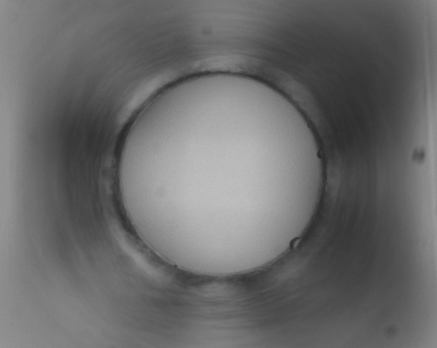 X0000110710578200907022025