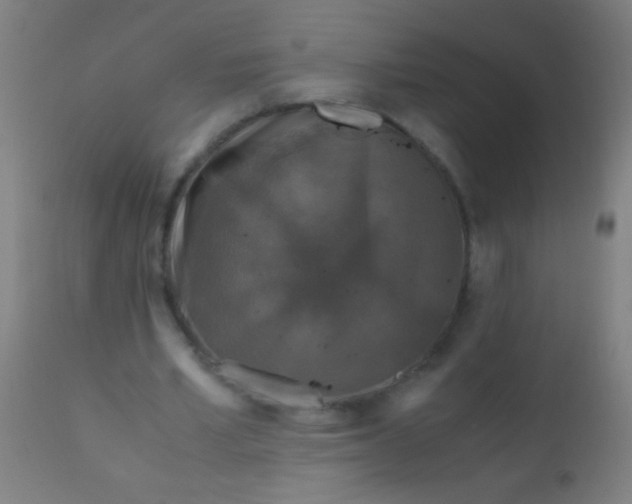 X0000110710581200907022025