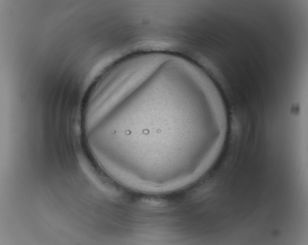X0000110710582200907022025
