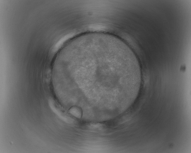 X0000110710583200907022025
