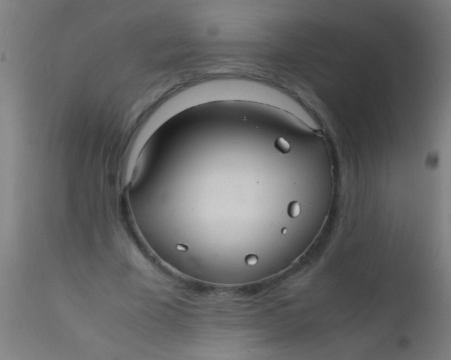 X0000110710585200907022025