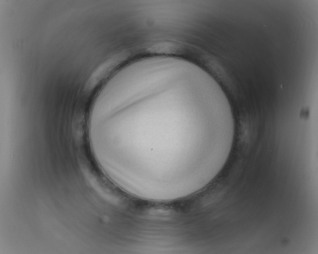 X0000110710586200907022025
