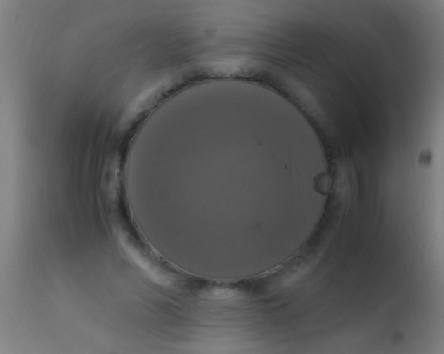 X0000110710590200907022025