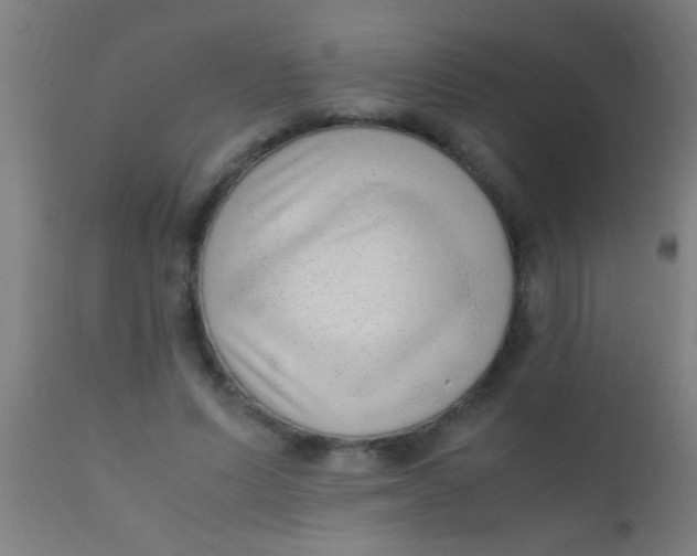 X0000110710591200907022025
