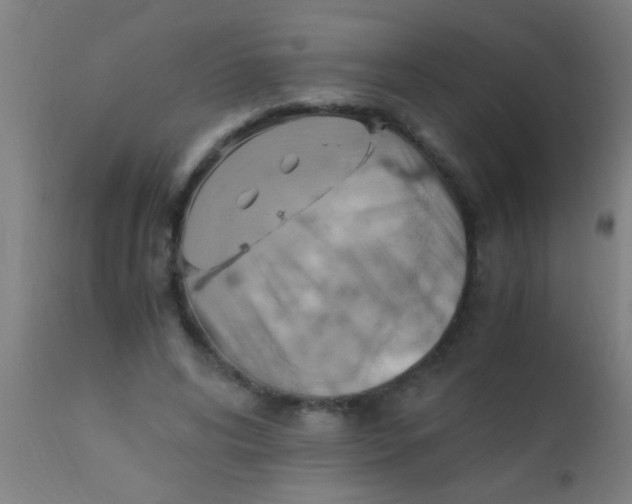 X0000110710592200907022025