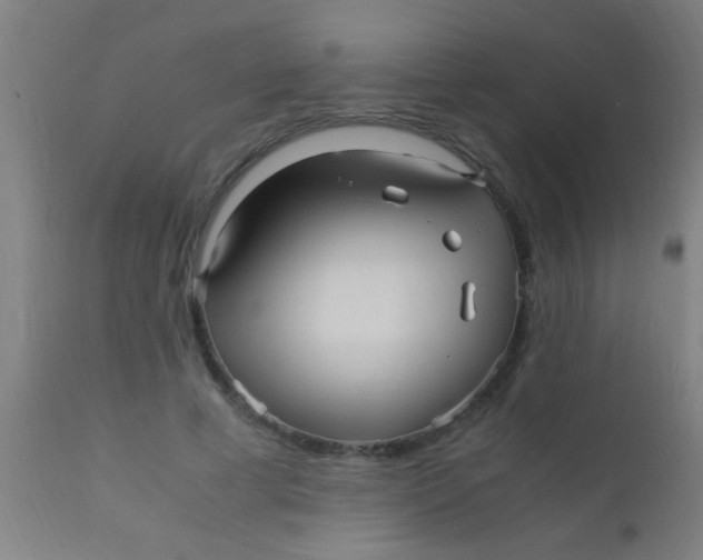 X0000110710593200907022025