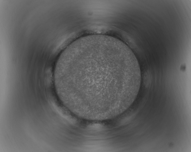 X0000110710594200907022025