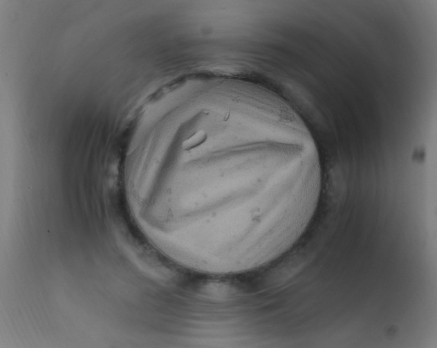 X0000110710596200907022025