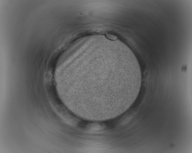 X0000110710597200907022025