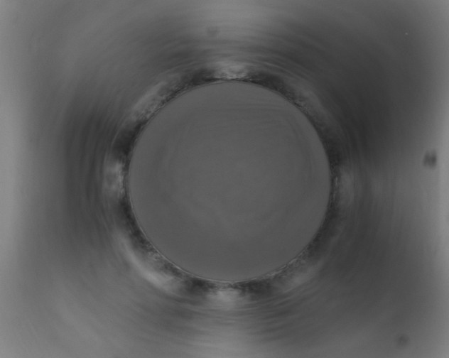 X0000110710598200907022025