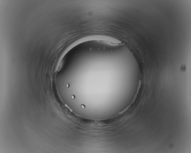 X0000110710599200907022025