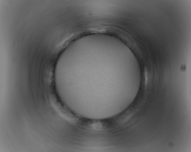 X0000110710600200907022025