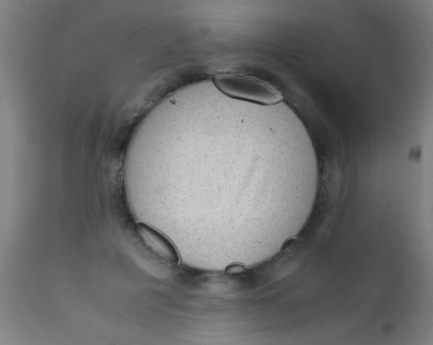 X0000110710601200907022025