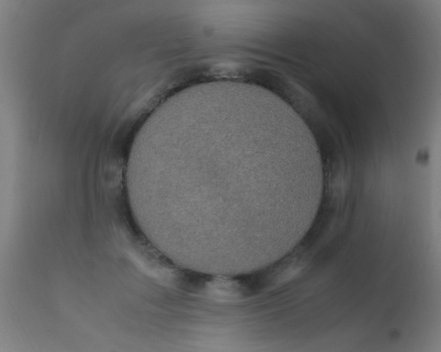 X0000110710603200907022025