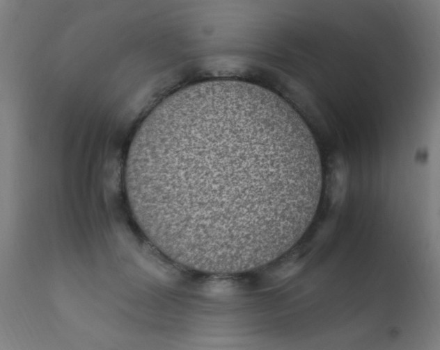 X0000110710604200907022025