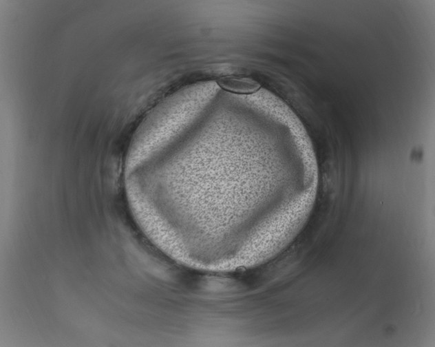 X0000110710605200907022025