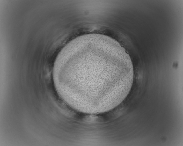 X0000110710607200907022025