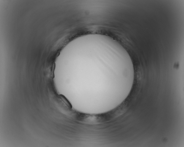 X0000110710611200907022025