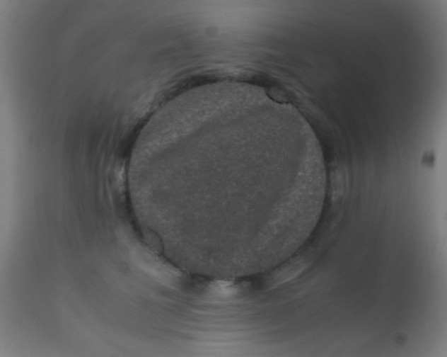 X0000110710613200907022025