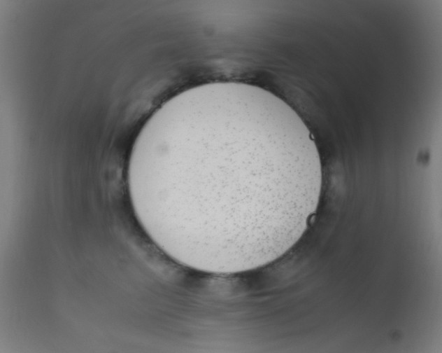 X0000110710615200907022024