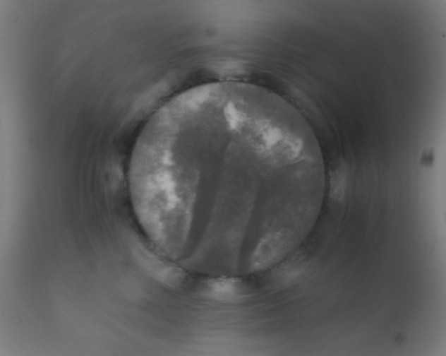 X0000110710618200907022024