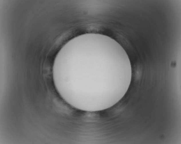 X0000110710619200907022024