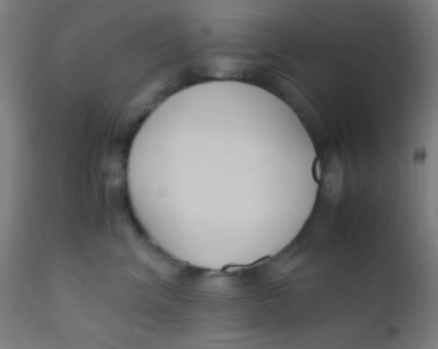 X0000110710620200907022024