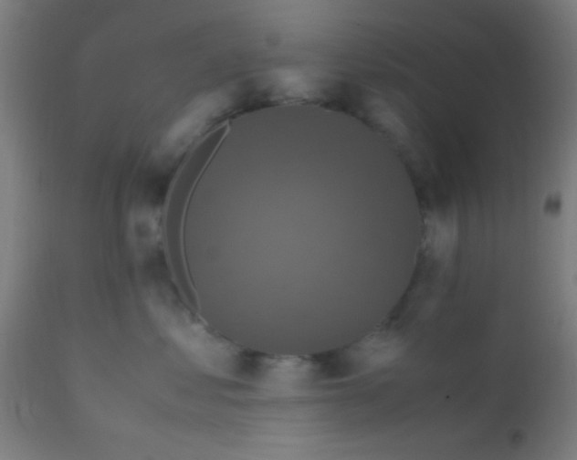 X0000110710621200907022024