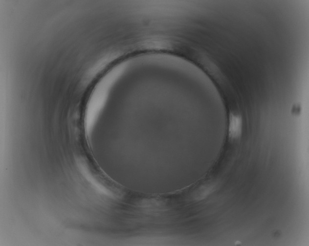 X0000110710627200907022023