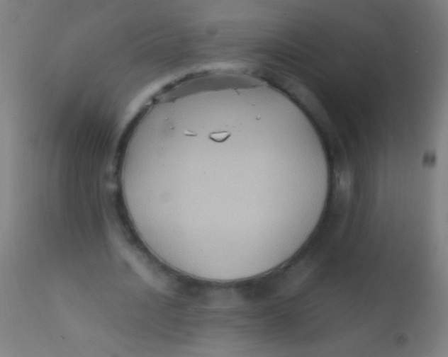 X0000110710628200907022023