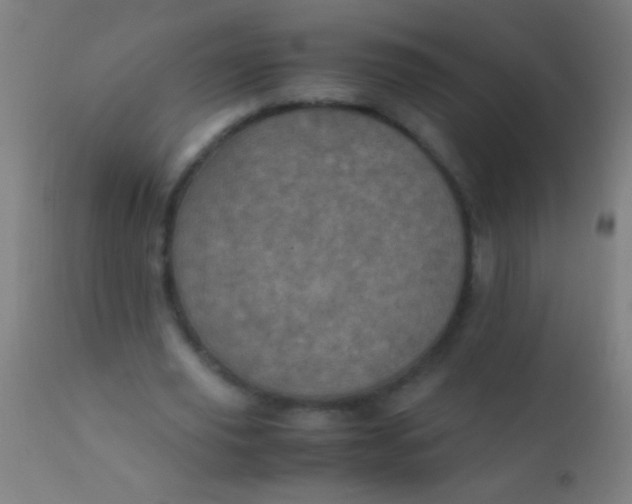 X0000110710629200907022023