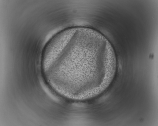 X0000110710630200907022023