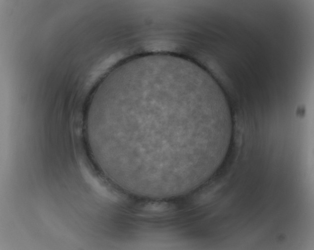 X0000110710631200907022023