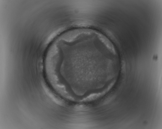 X0000110710634200907022023