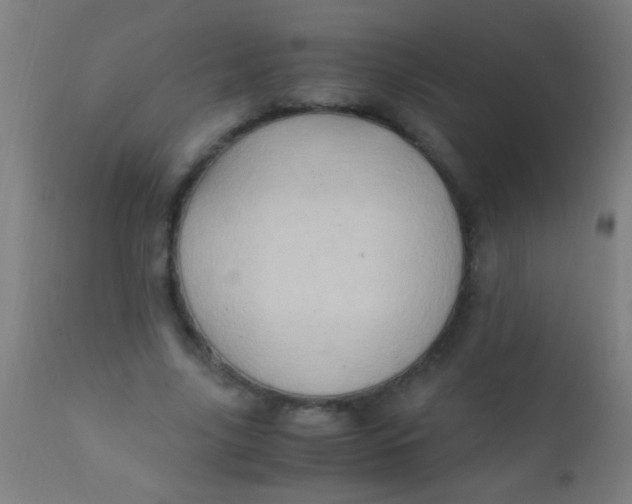 X0000110710635200907022023