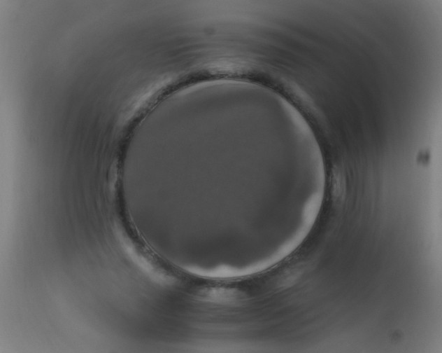 X0000110710637200907022024