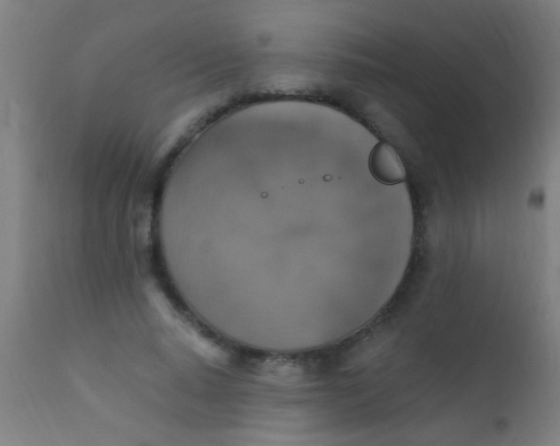 X0000110710640200907022024