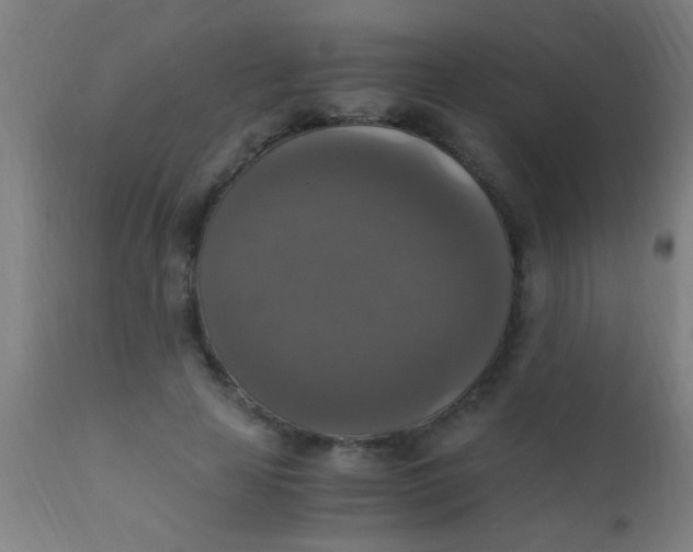 X0000110710641200907022024