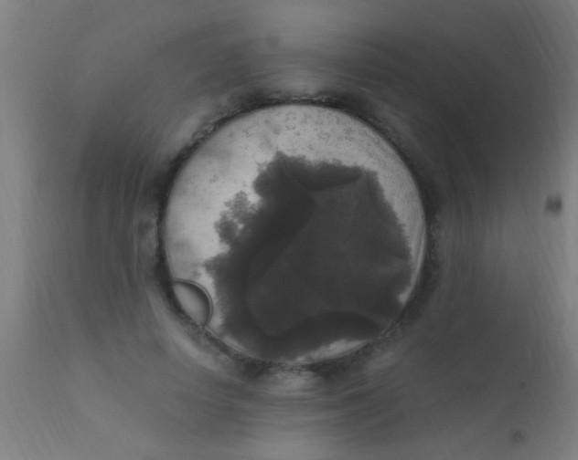 X0000110710642200907022024