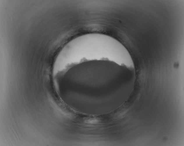 X0000110710643200907022024